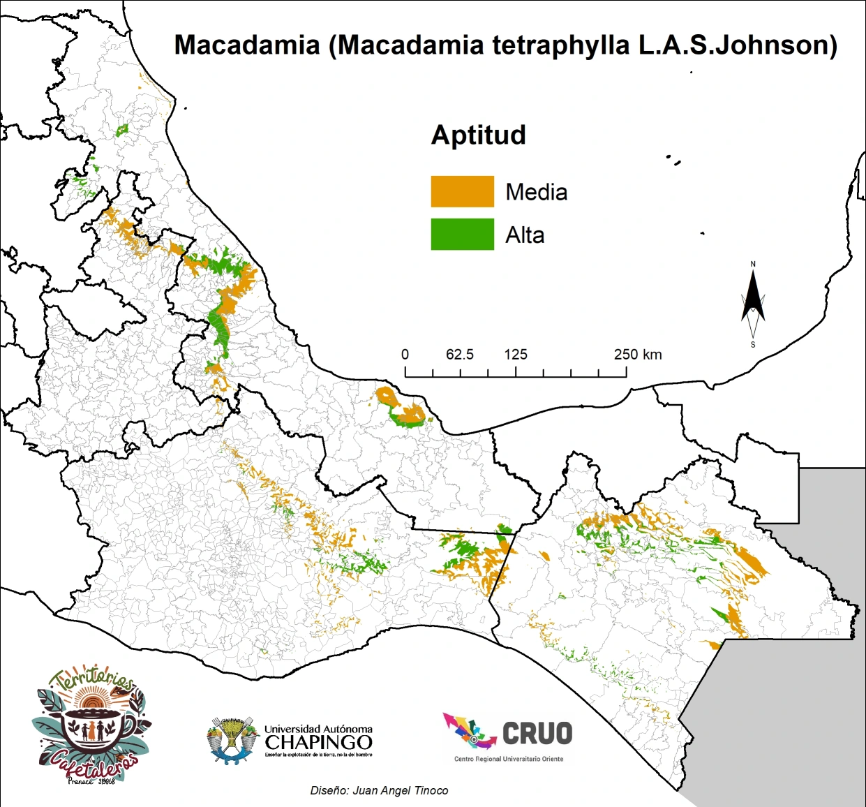 Mapa 13